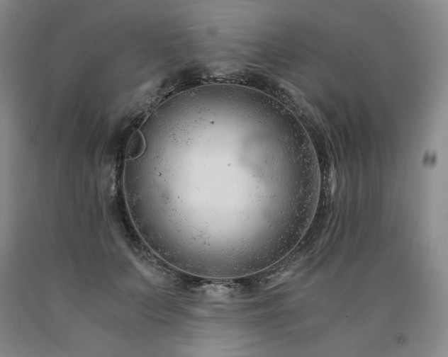 X0000090920703200707301533