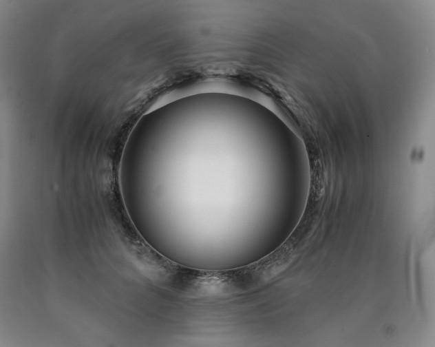 X0000090920704200707301533
