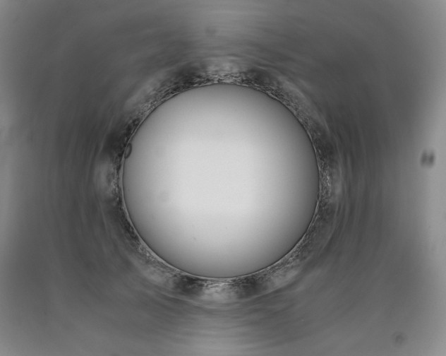 X0000090920705200707301533