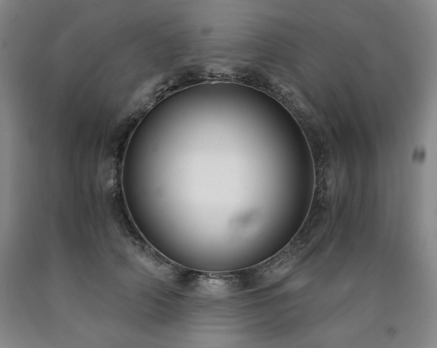 X0000090920706200707301533
