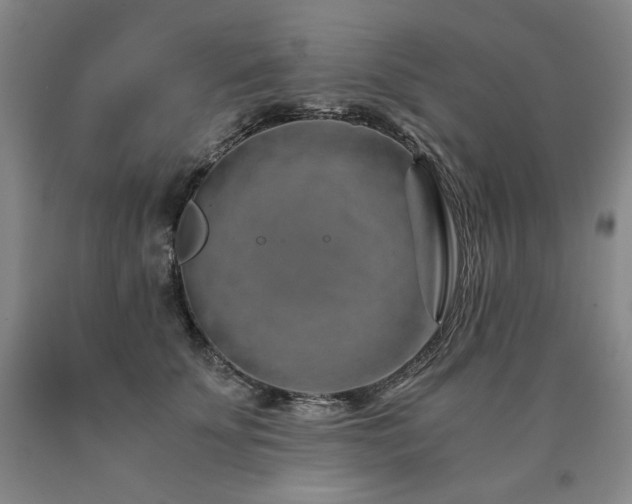 X0000090920707200707301533