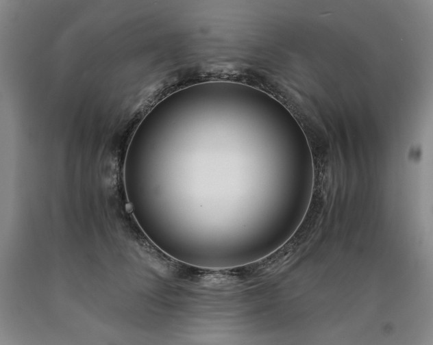 X0000090920708200707301533