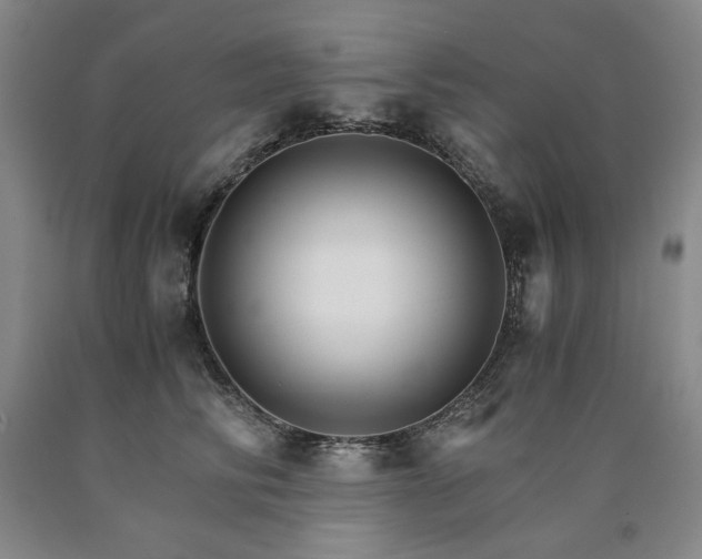 X0000090920710200707301533
