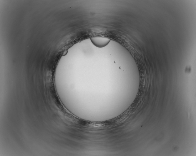X0000090920711200707301533