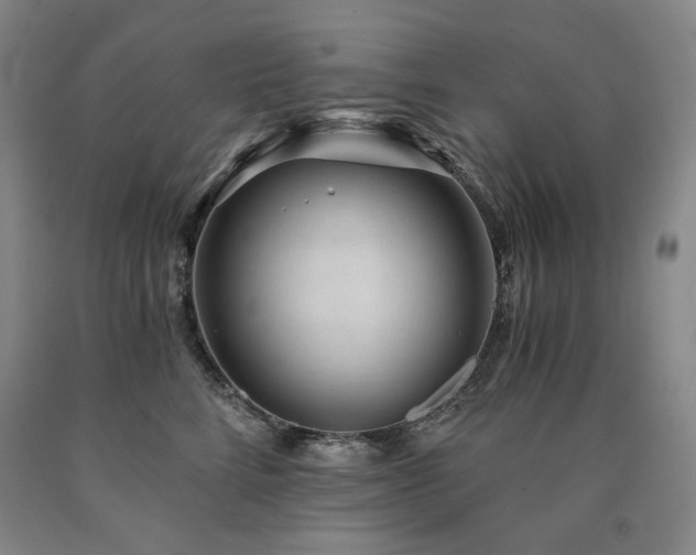 X0000090920712200707301533