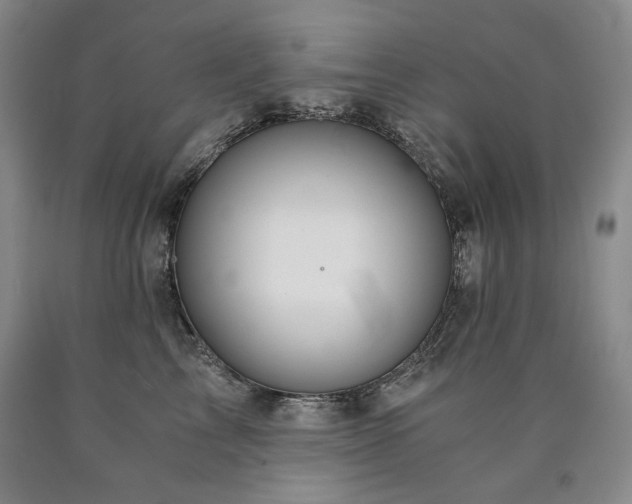 X0000090920713200707301533
