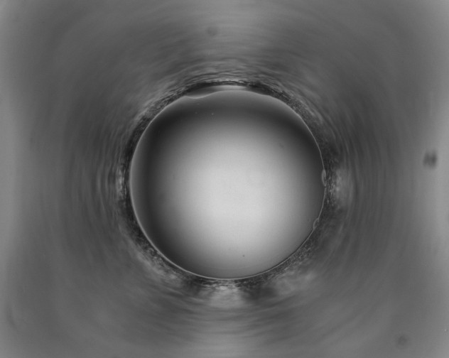 X0000090920715200707301533