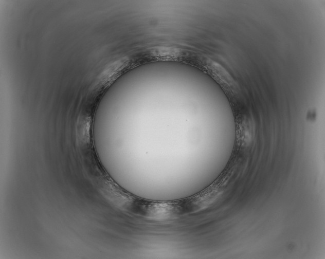 X0000090920717200707301533