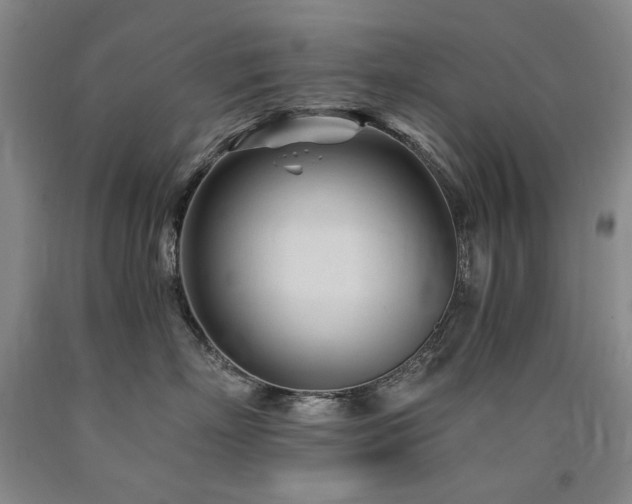 X0000090920718200707301533
