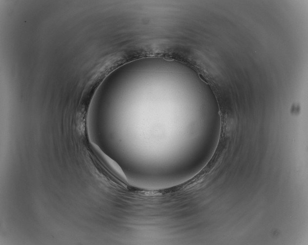 X0000090920719200707301533