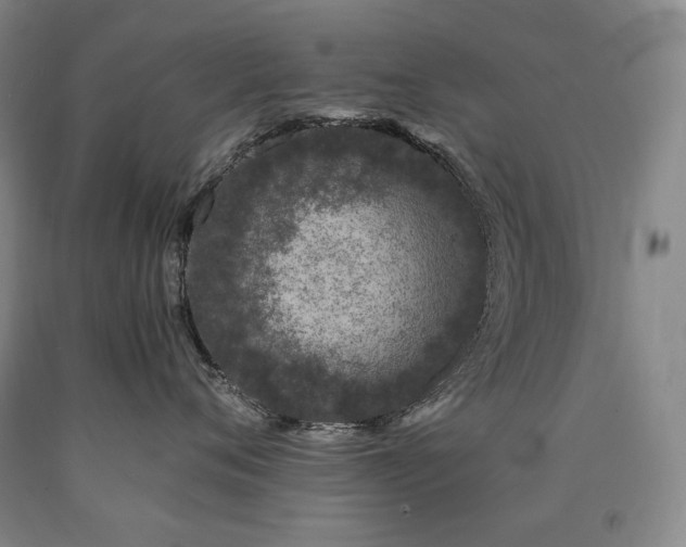 X0000090920720200707301533