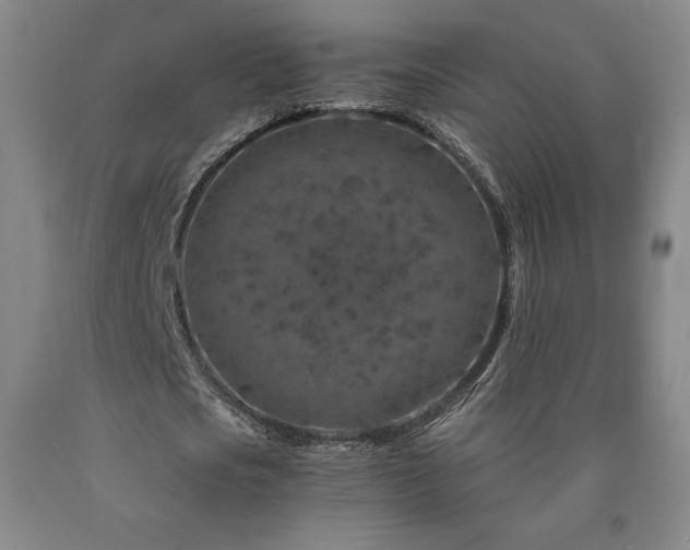 X0000090920721200707301532