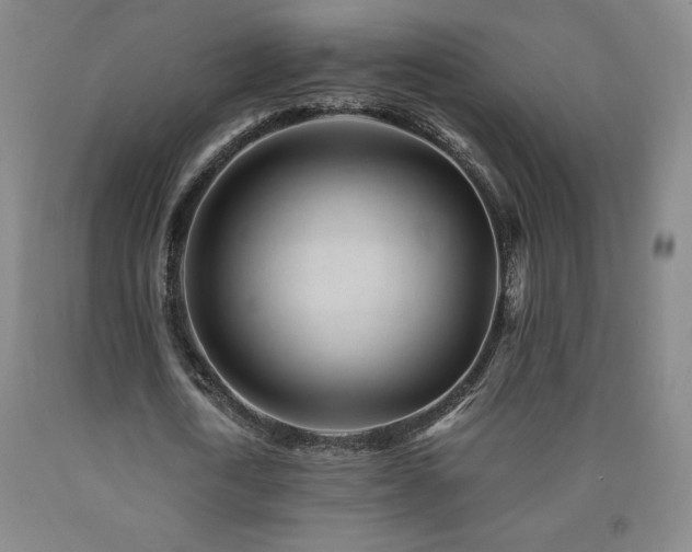 X0000090920722200707301532