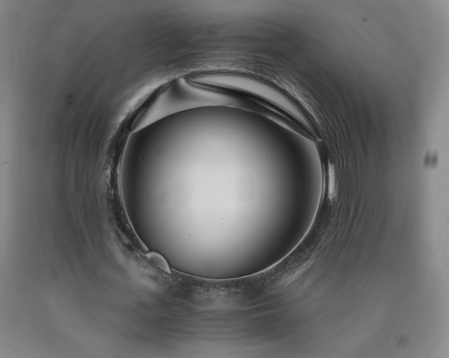 X0000090920723200707301532
