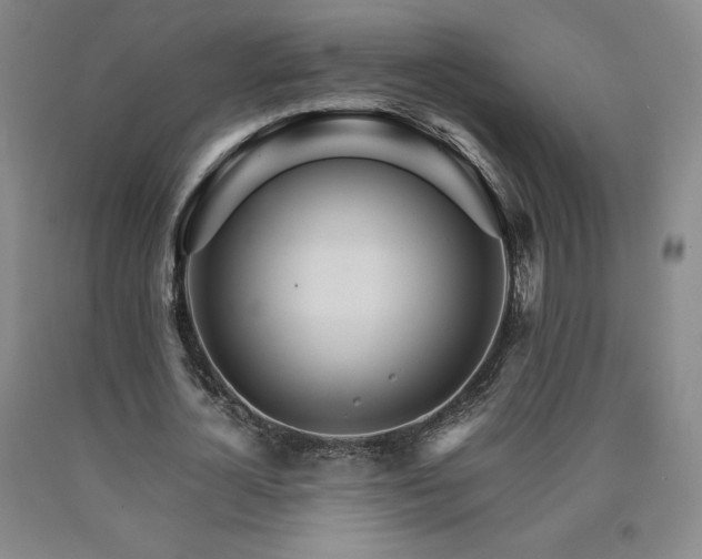X0000090920724200707301532