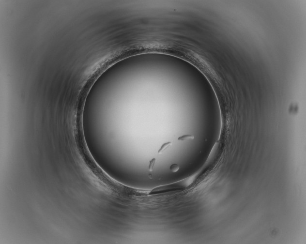 X0000090920725200707301532