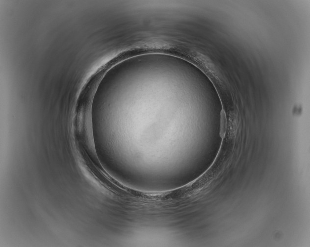 X0000090920726200707301532