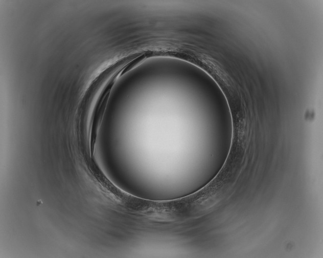 X0000090920727200707301532