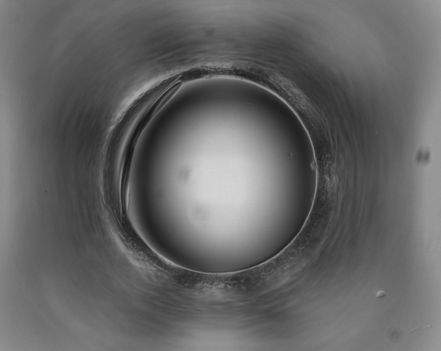 X0000090920728200707301532