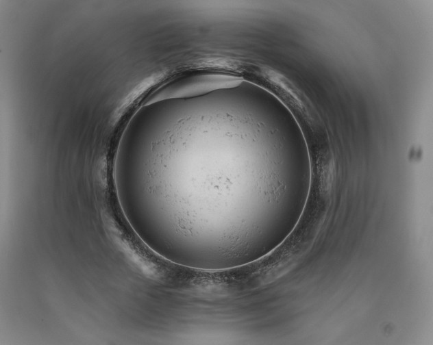 X0000090920729200707301532