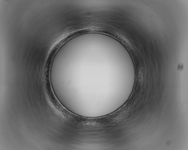 X0000090920730200707301532