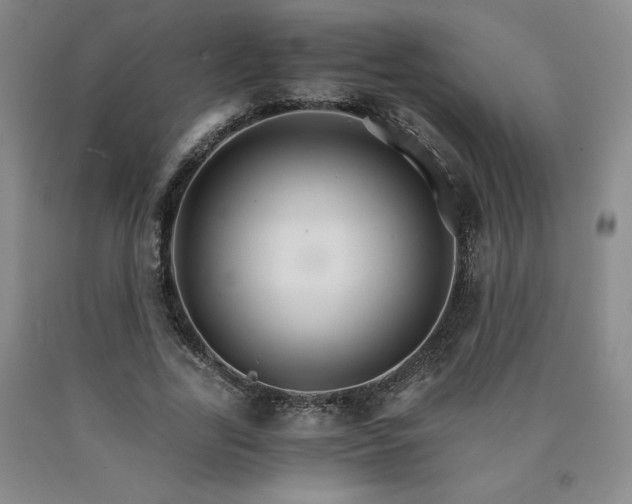 X0000090920731200707301532