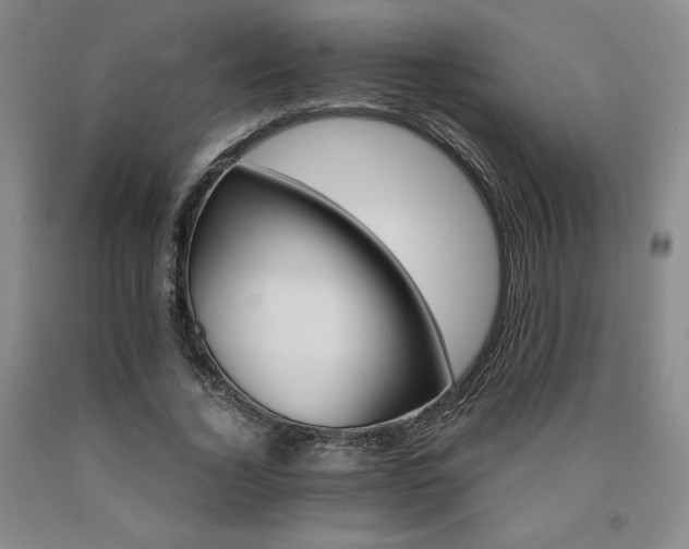 X0000090920732200707301532