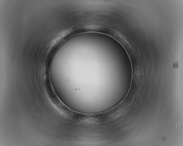 X0000090920734200707301532