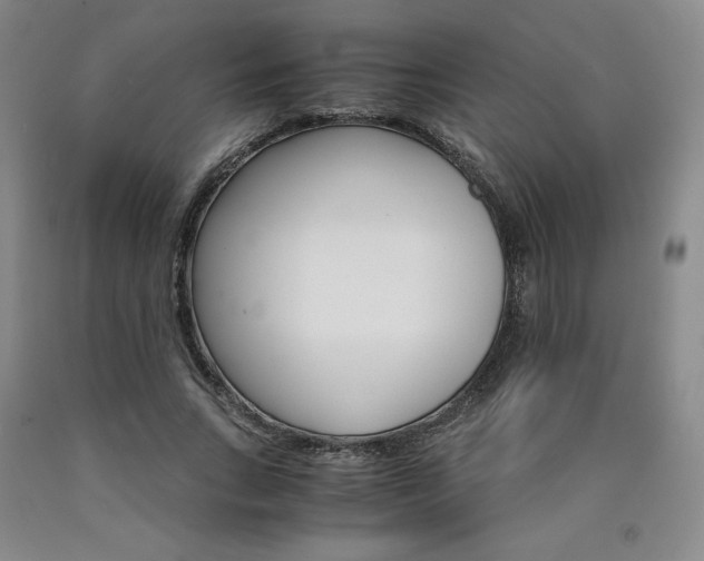 X0000090920735200707301532
