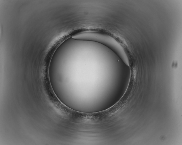 X0000090920736200707301532