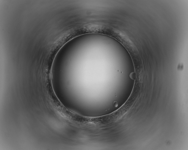 X0000090920737200707301532
