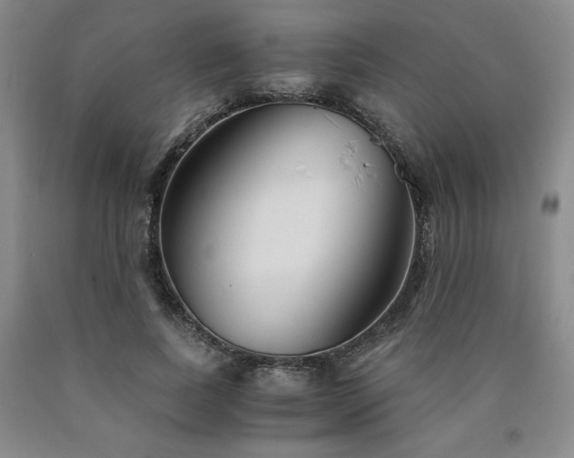 X0000090920739200707301532