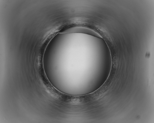 X0000090920740200707301532
