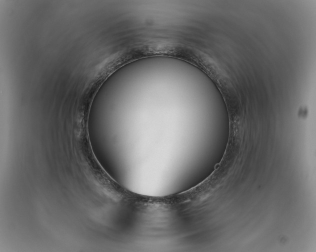 X0000090920741200707301532