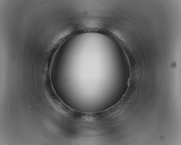 X0000090920742200707301532