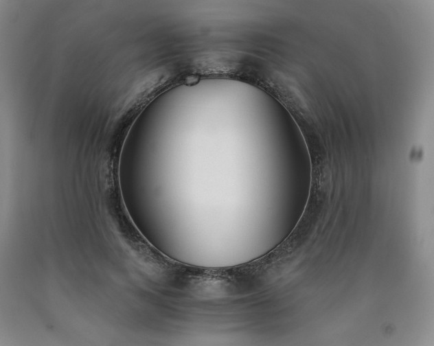 X0000090920743200707301532