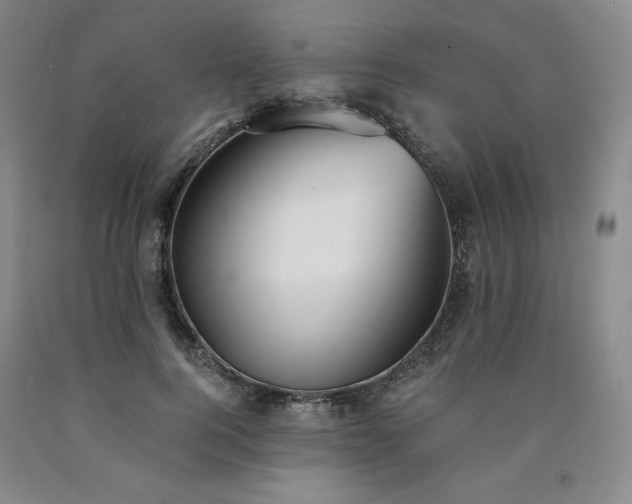 X0000090920744200707301532