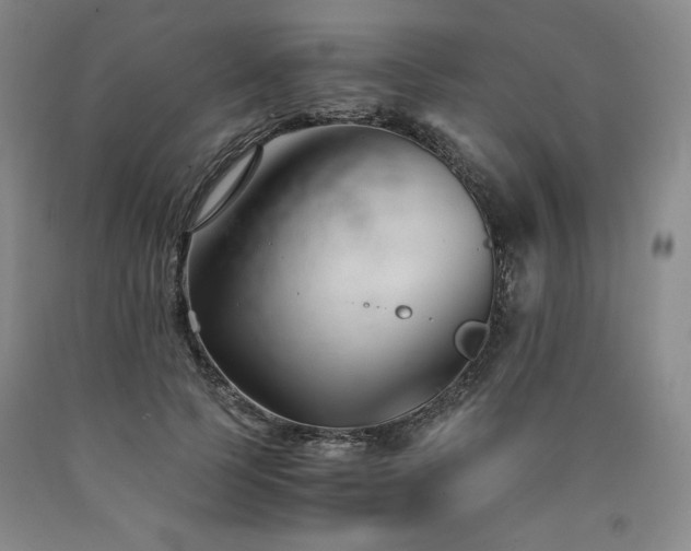 X0000090920745200707301532