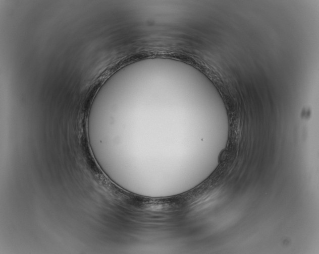X0000090920746200707301532