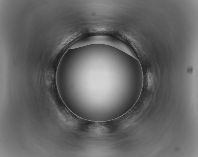 X0000090920747200707301532