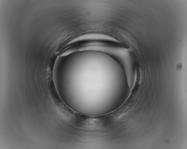 X0000090920748200707301532