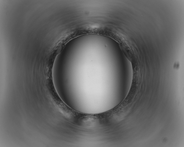 X0000090920750200707301532