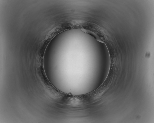 X0000090920751200707301532