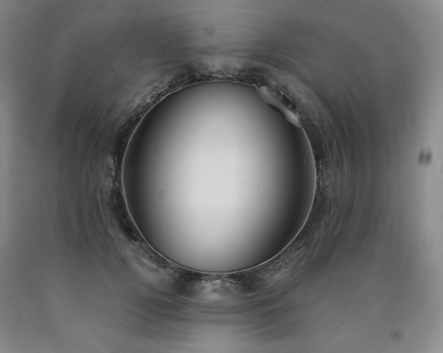 X0000090920752200707301532