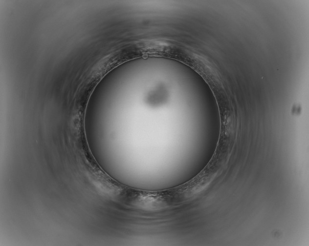 X0000090920753200707301532