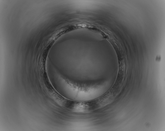 X0000090920754200707301533