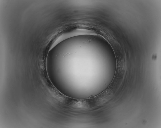 X0000090920755200707301533