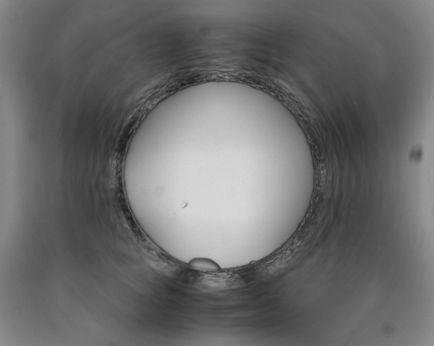 X0000090920757200707301533