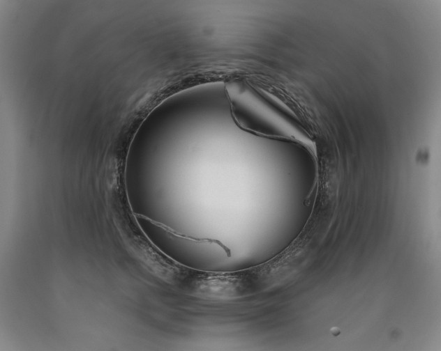 X0000090920758200707301533