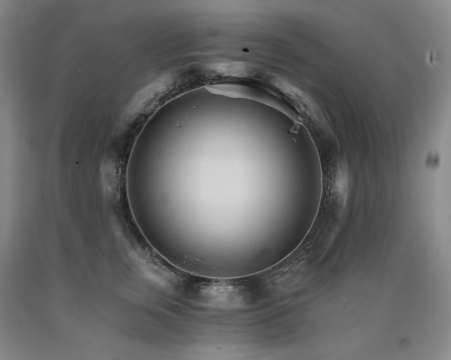 X0000090920759200707301533